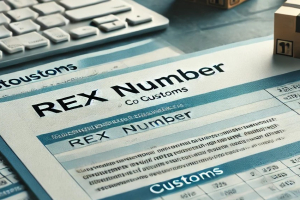 Understanding the REX Number: A Guide for UK Businesses